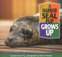 A Harbor Seal Pup Grows Up Joan Hewett, Richard Hewett (Phot