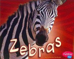 Zebras Catherine Ipcizade