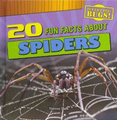 20 Fun Facts About Spiders