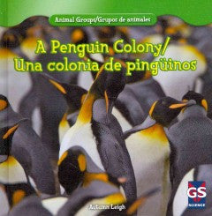 A Penguin Colony / Una colonia de pinguinos