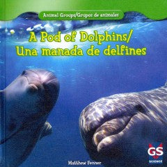 A Pod of Dolphins / una manada de delfines
