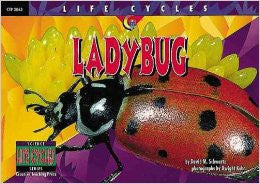Lady Bug (Life Cycles) - 3063