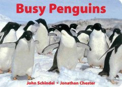 Penguins! John Schindel, Jonathan Chester (Photographer)