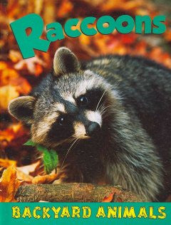 Raccoons