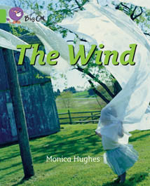 The Wind (Big Cat Series) - PL-7063
