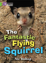 The Fantastic Flying Squirrel - PL-7068