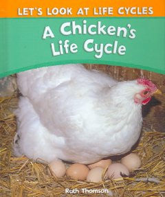 A Chicken's Life Cycle Thomson, Ruth