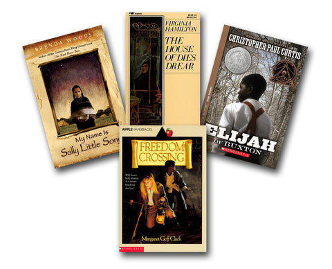 African American Historical Fiction (11 bk set)